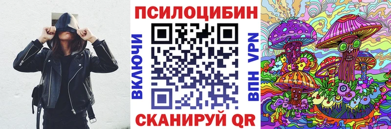 где купить наркотик  Красновишерск  Псилоцибиновые грибы Psilocybine cubensis 